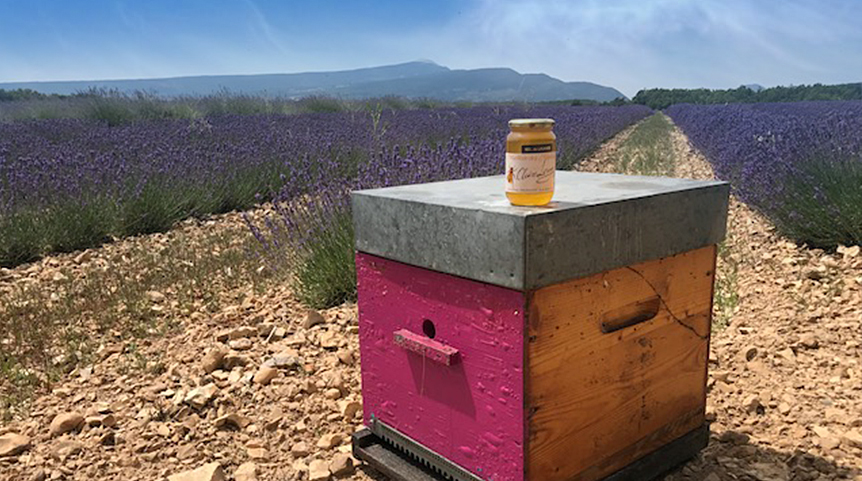 miel bio provence